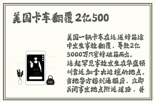樱花官网官方入门网站2024